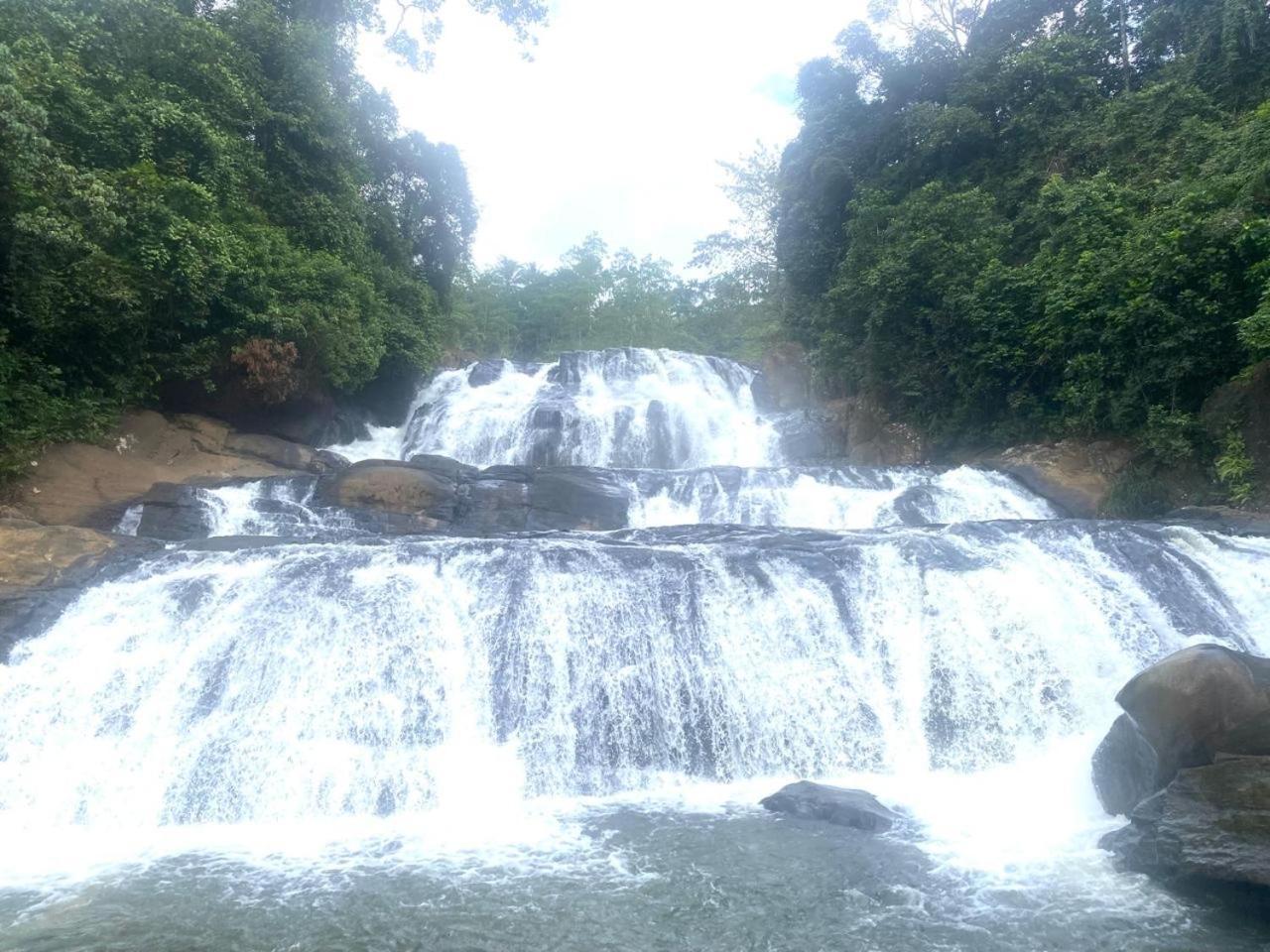 Sinharaja Riverside Deniyaya Dış mekan fotoğraf
