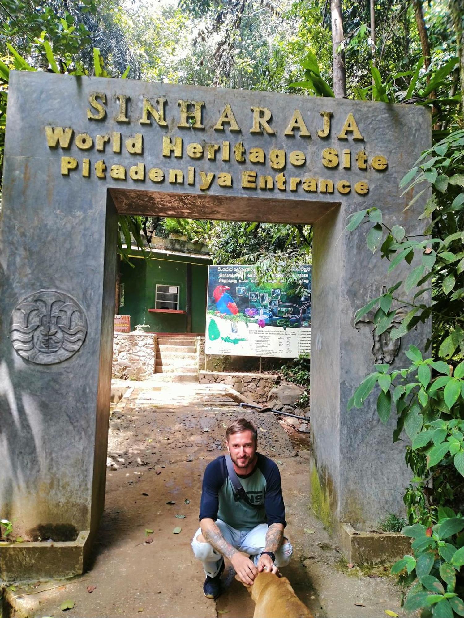 Sinharaja Riverside Deniyaya Dış mekan fotoğraf